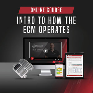 Intro To How the ECM Operates